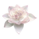 aspect ration 1:1 aspect ration 1:1